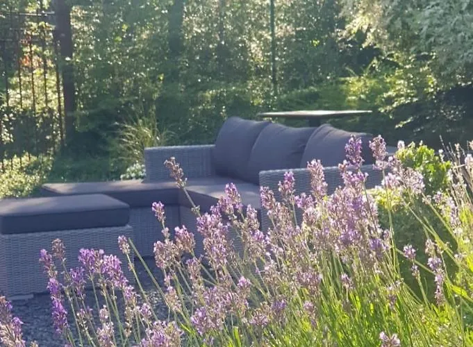 Dom wakacyjny Levasion Nature Beauraing